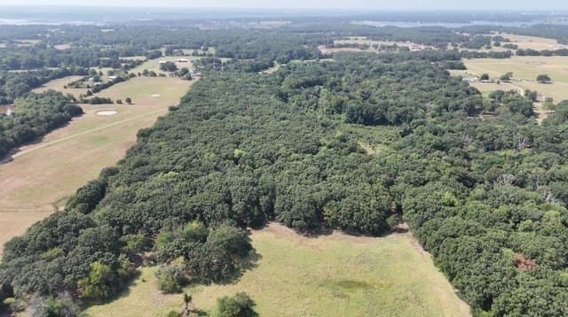 68.3 acres in Fannin County - photo 4