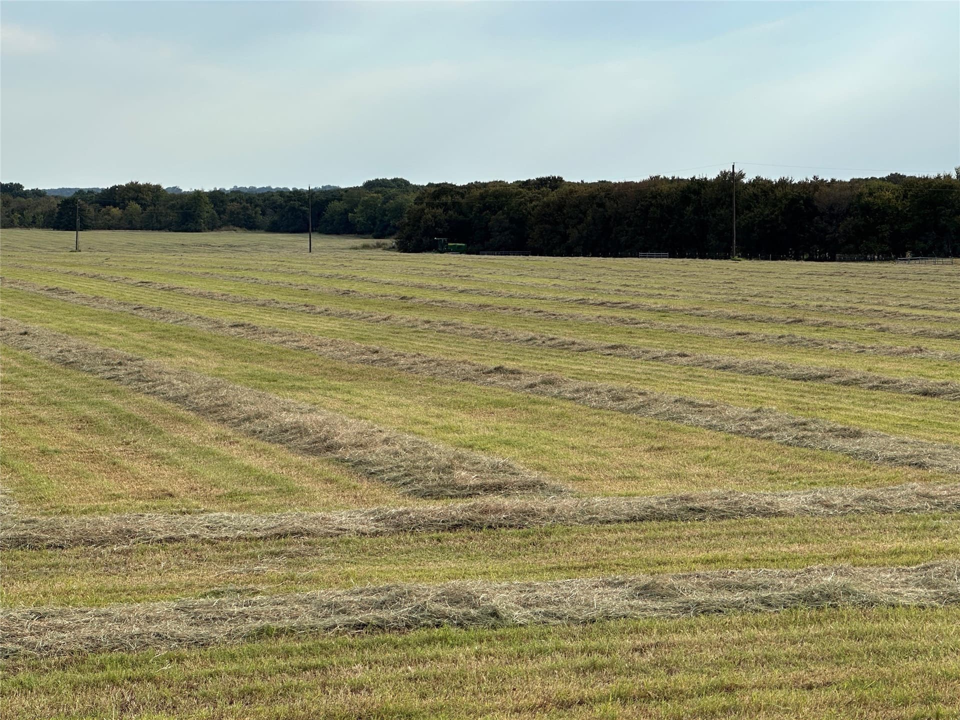 13 acres in Grayson County gallery image 2