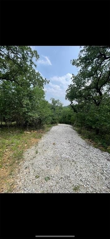 1.27 acres in Wise County gallery image 3