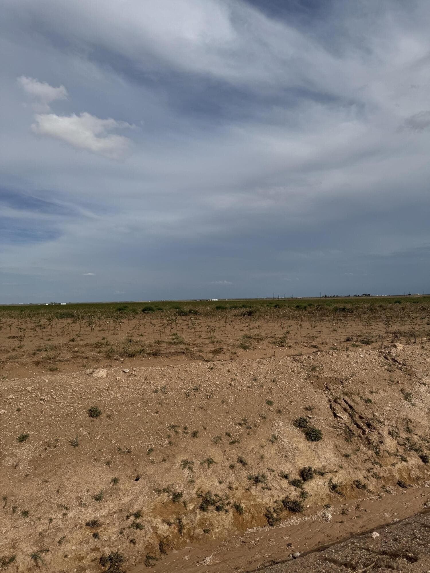 50 acres in Lynn County - photo 4