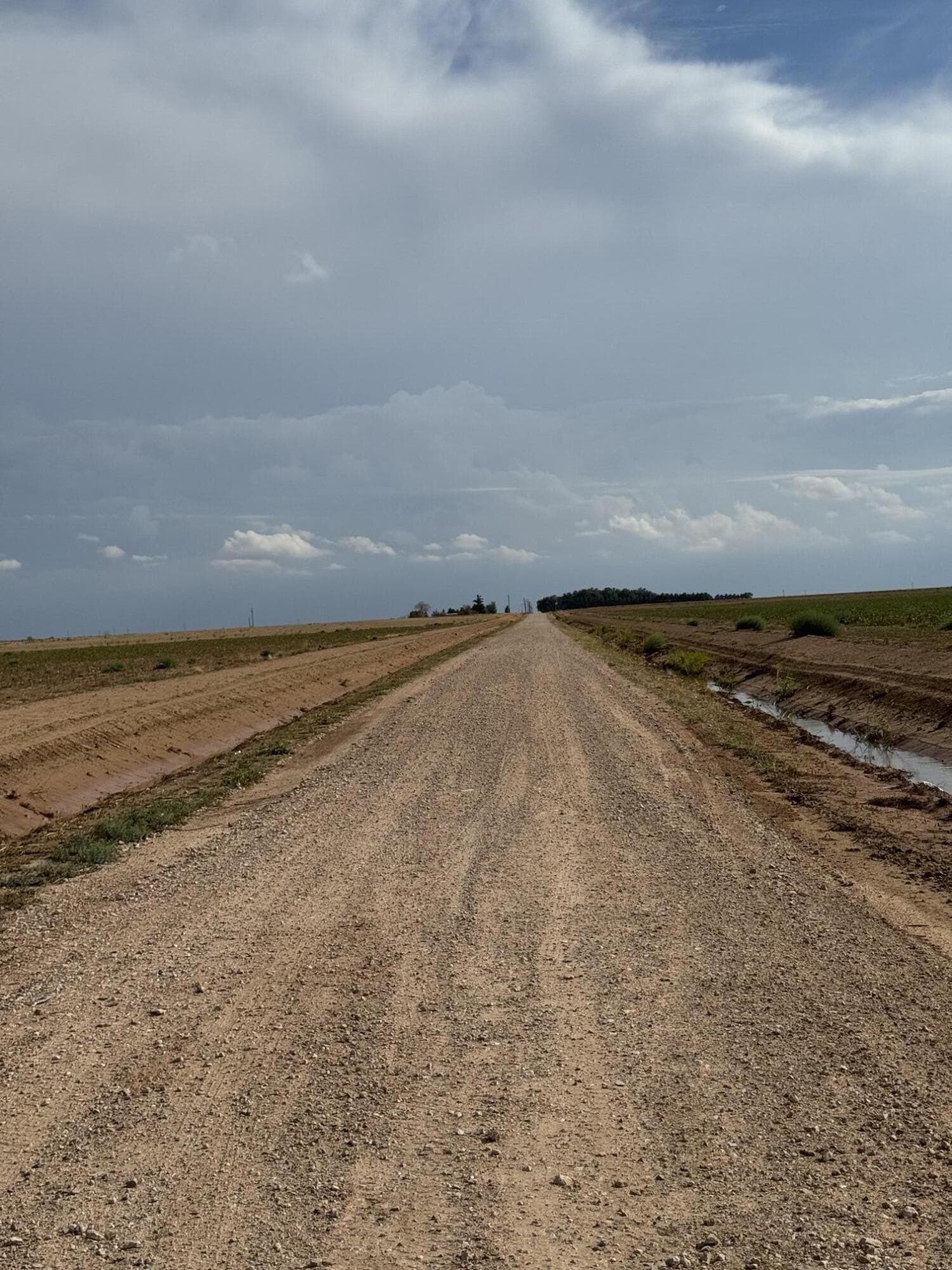 50 acres in Lynn County - photo 3