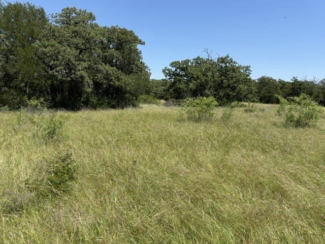 851.64 acres in Erath County - photo 4