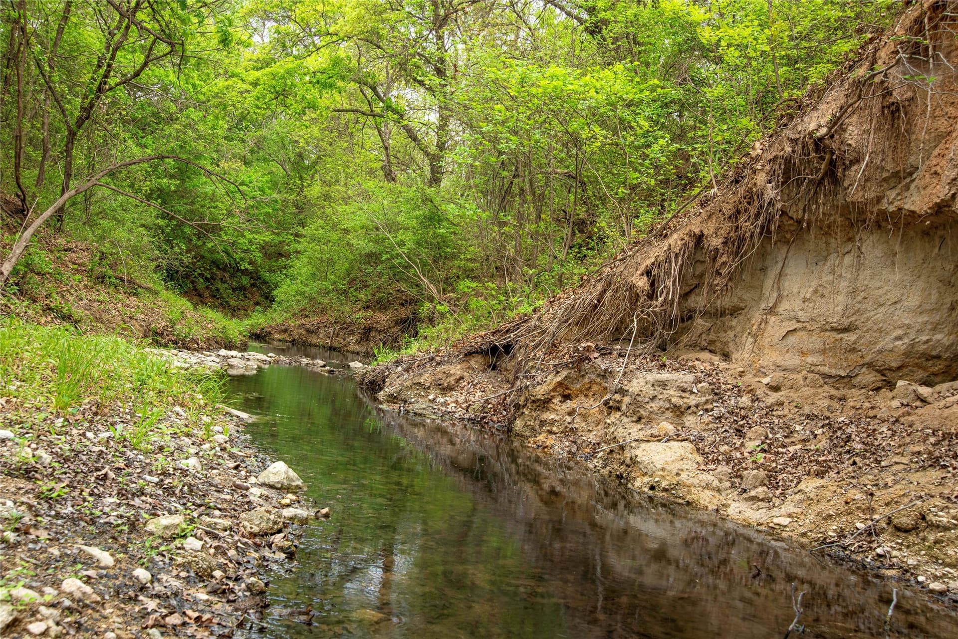 851.64 acres in Erath County - photo 11