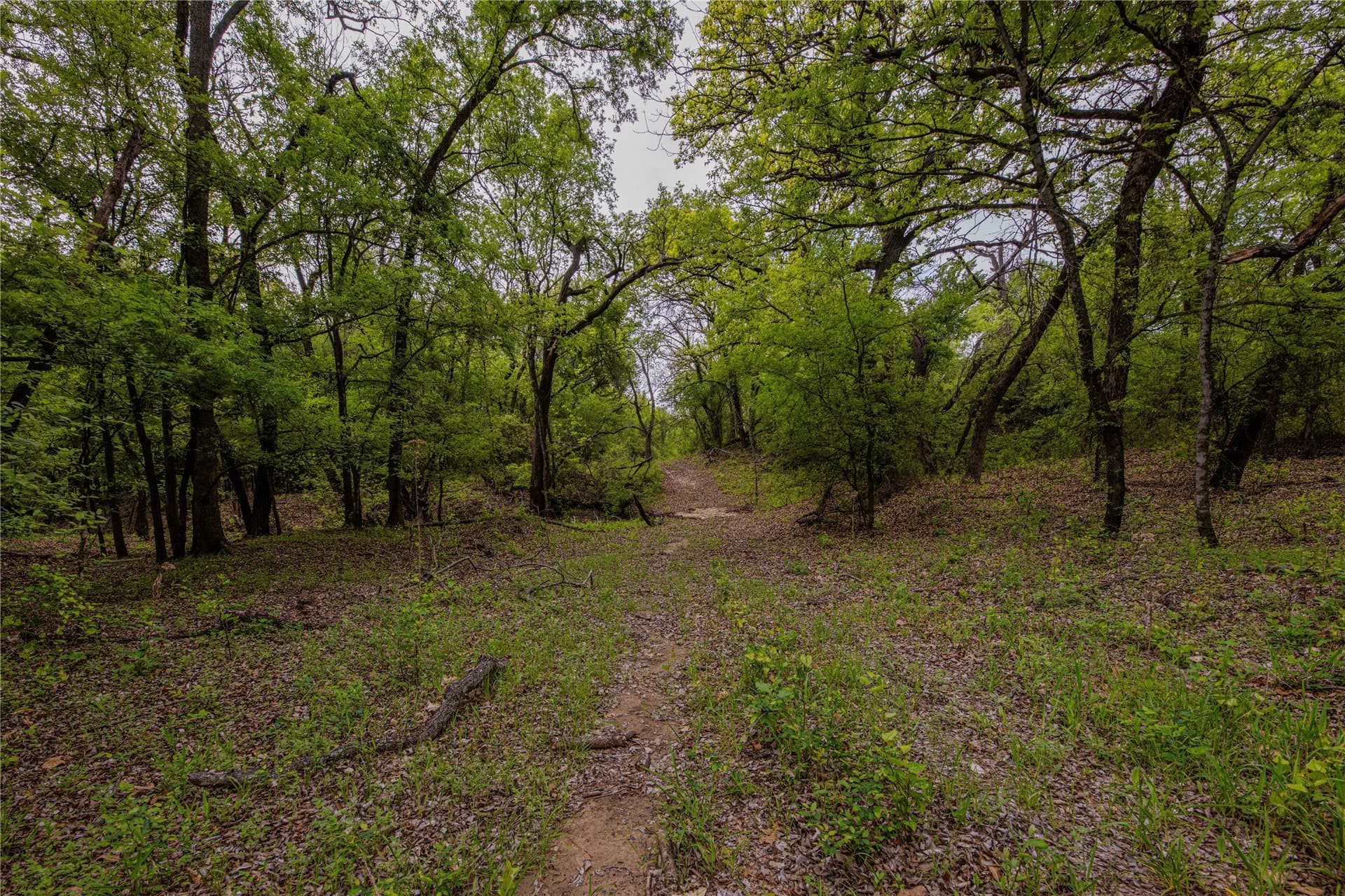 851.64 acres in Erath County - photo 15
