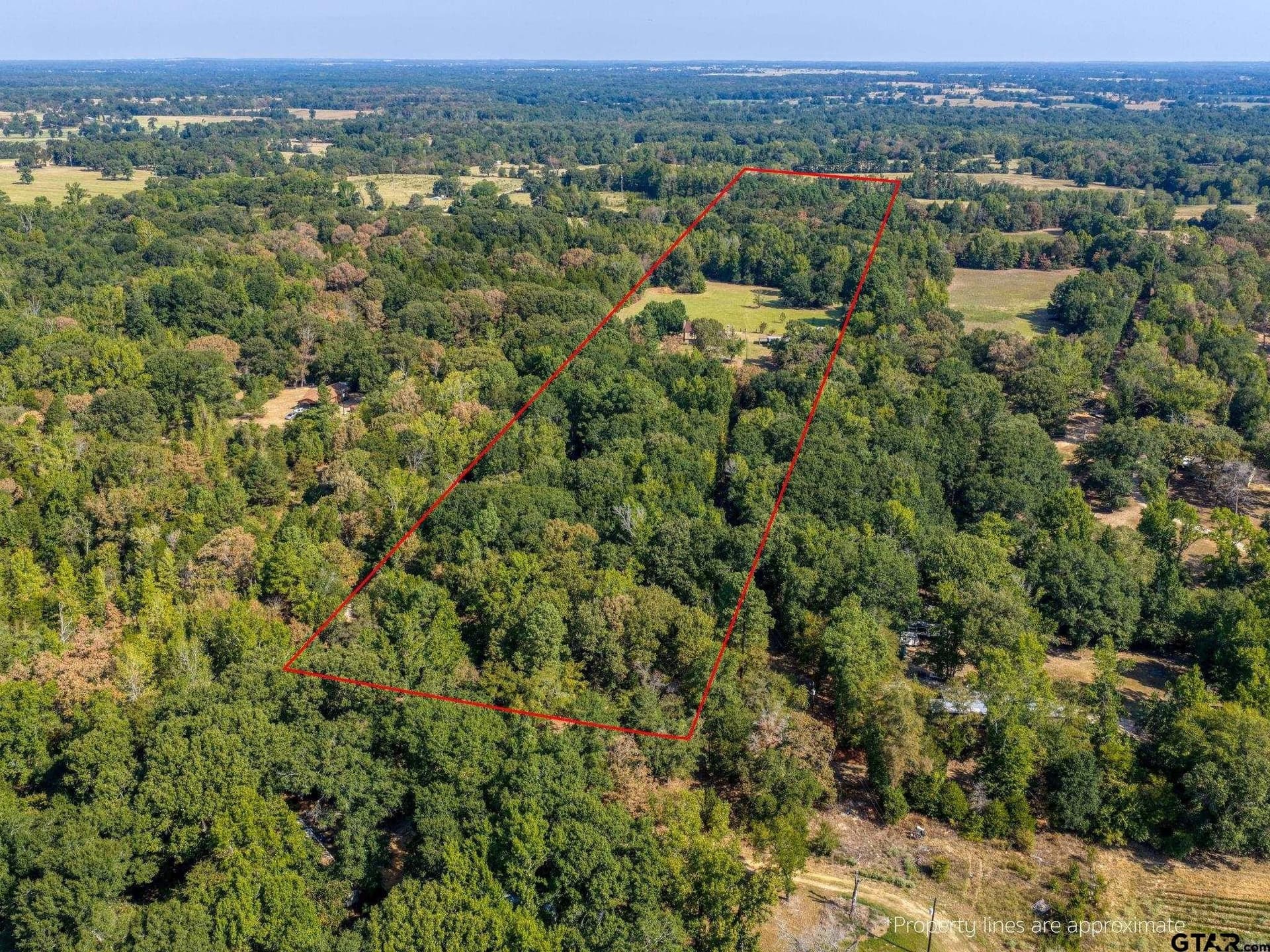 21.81 acres in Henderson County - photo 39