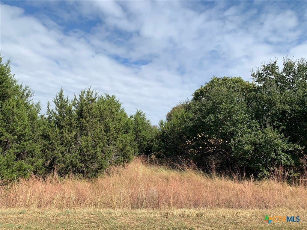 4.4 acres in Bell County - photo 10
