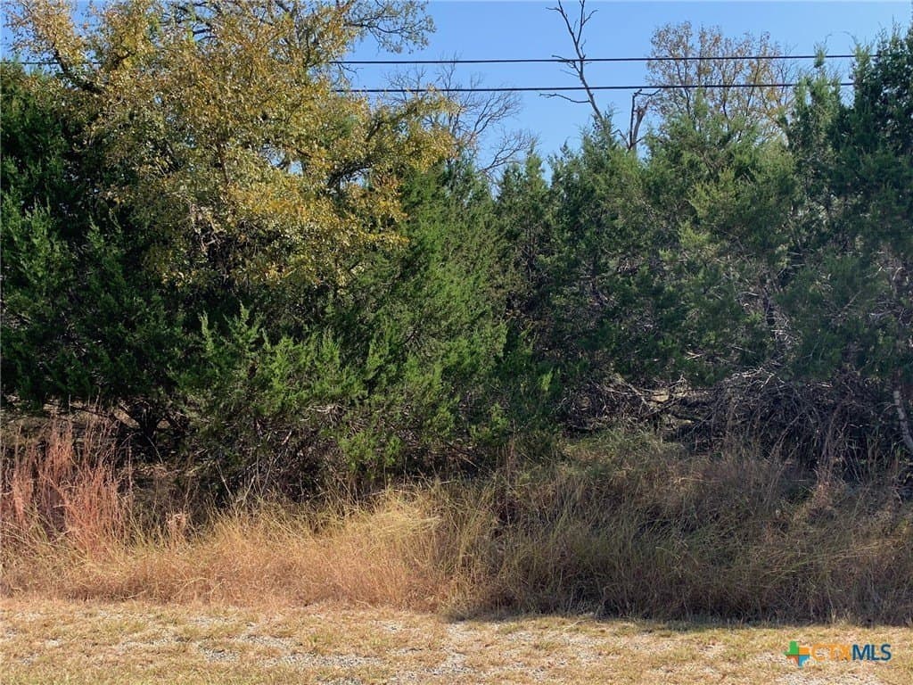 4.4 acres in Bell County - photo 9