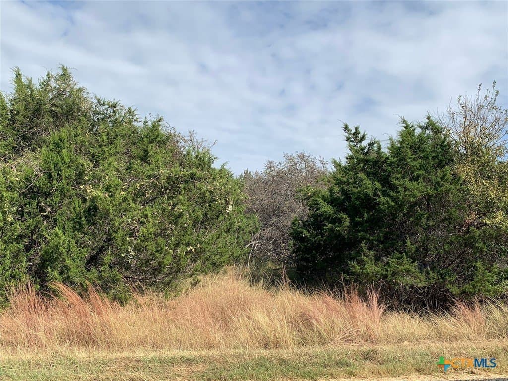 4.4 acres in Bell County - photo 18