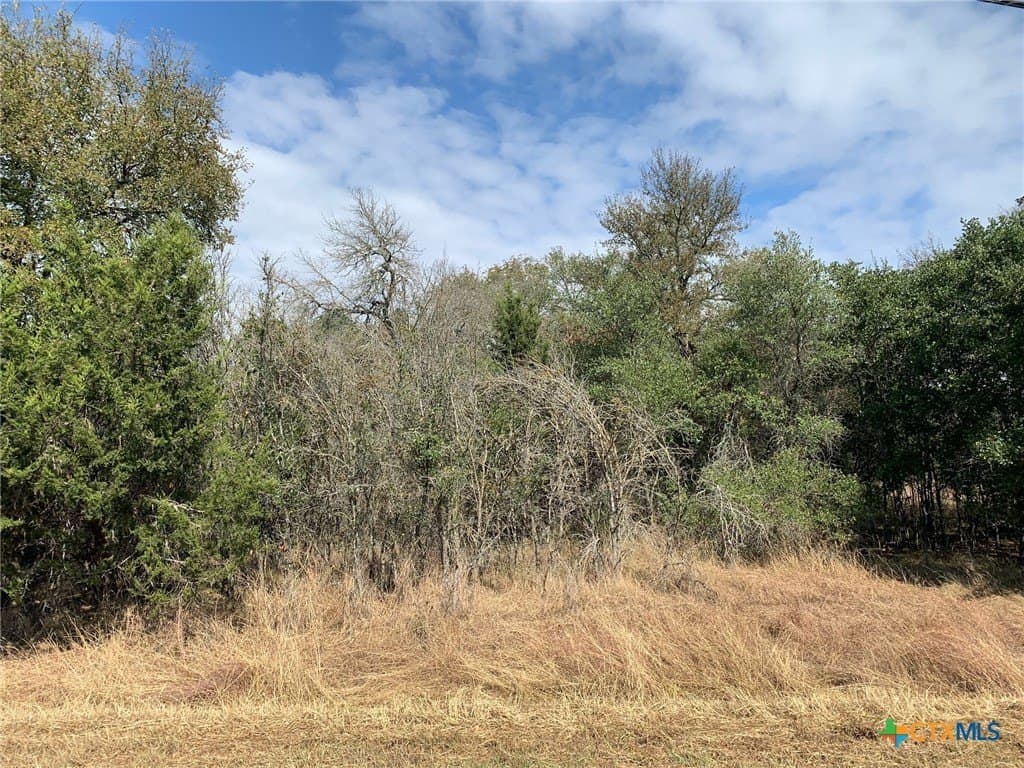 4.4 acres in Bell County - photo 19