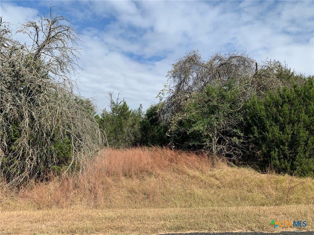 4.4 acres in Bell County - photo 8