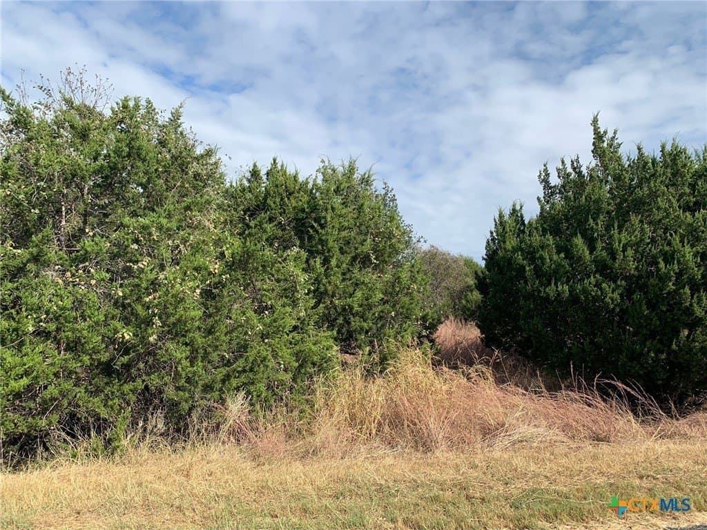 4.4 acres in Bell County - photo 14