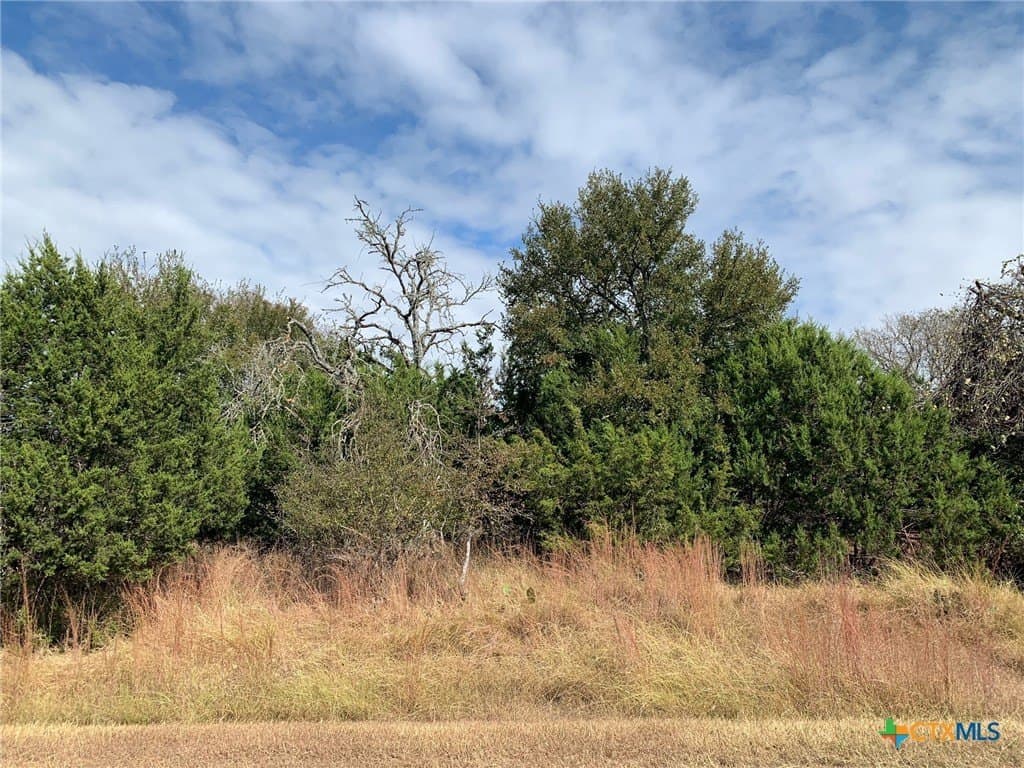 4.4 acres in Bell County - photo 24