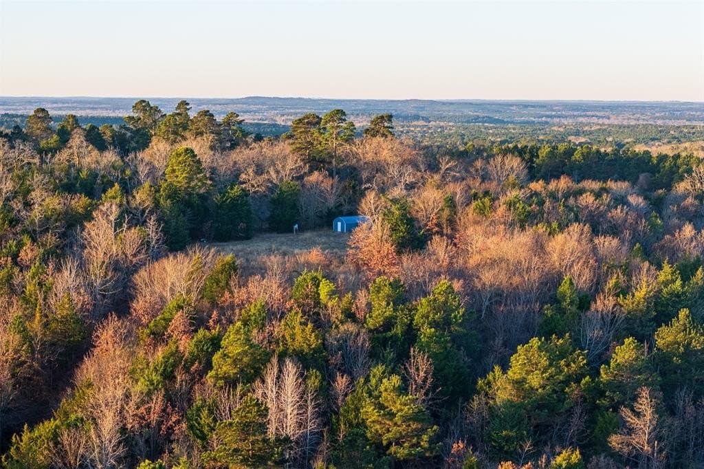 23.56 acres in Cherokee County gallery image 2