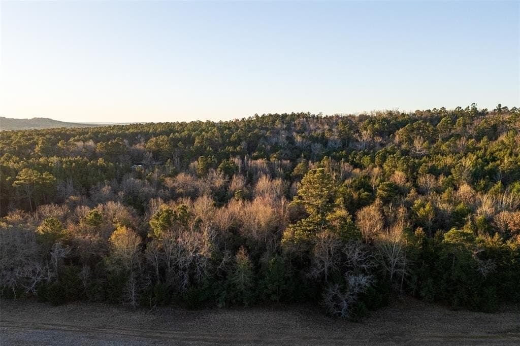 23.56 acres in Cherokee County gallery image 4