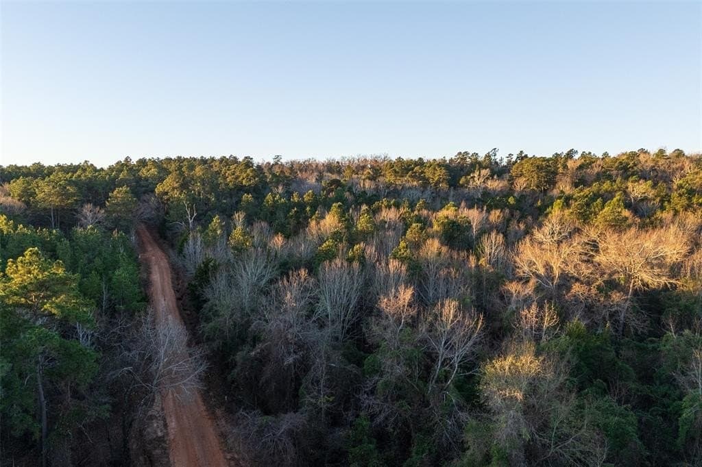 23.56 acres in Cherokee County gallery image 3