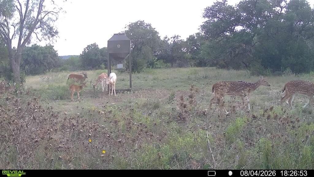 161.42 acres in Kimble County - photo 61