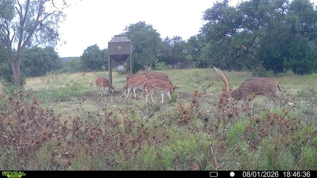161.42 acres in Kimble County - photo 64