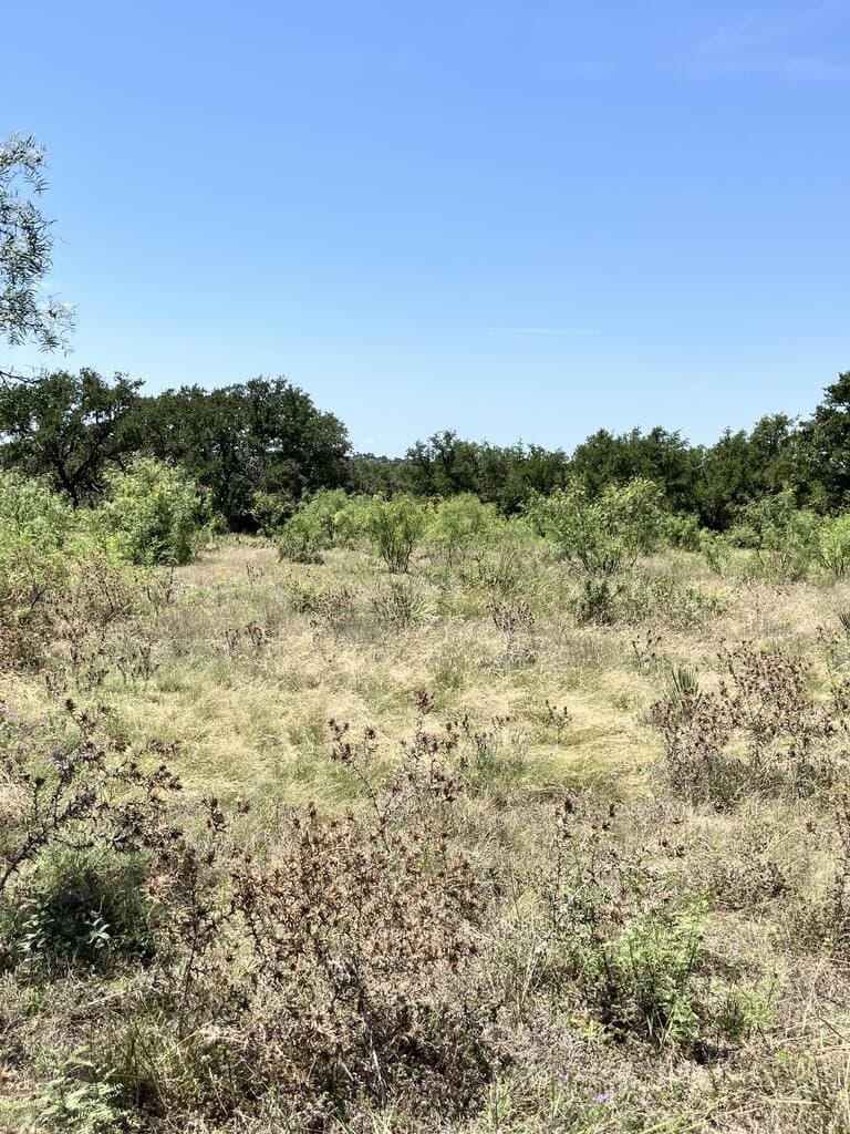 161.42 acres in Kimble County - photo 9