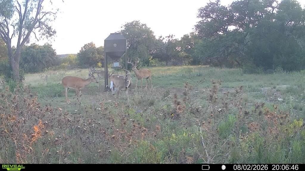 161.42 acres in Kimble County - photo 63