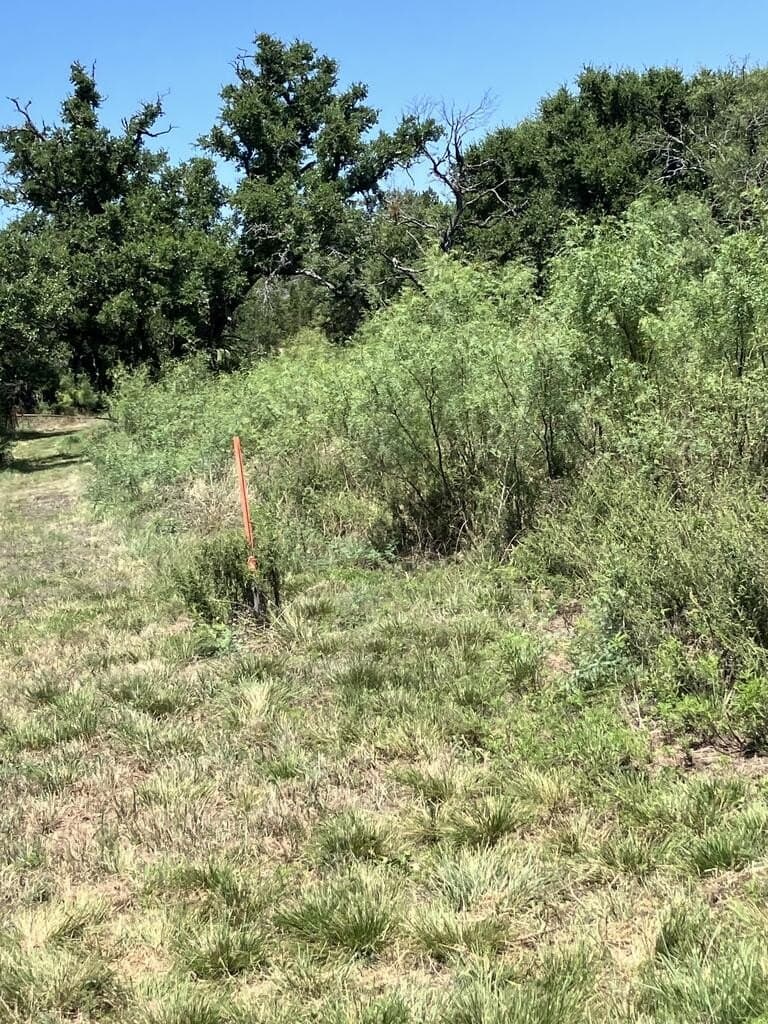 161.42 acres in Kimble County - photo 10