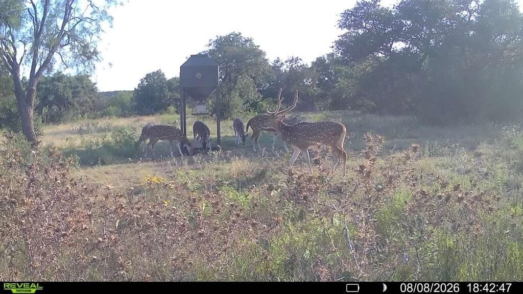 162.41 acres in Kimble County - photo 102