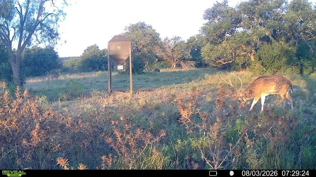 161.42 acres in Kimble County - photo 65