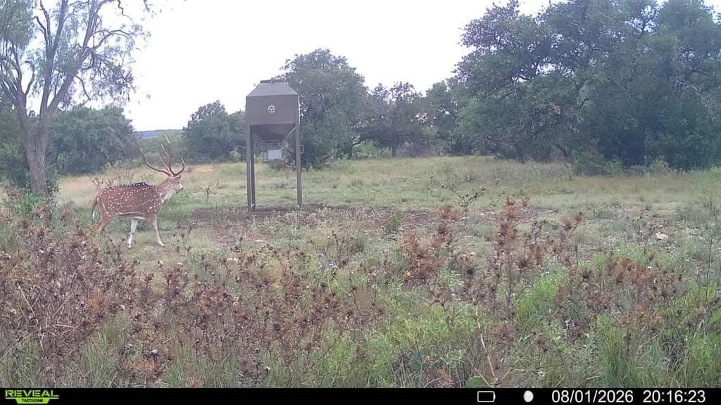 161.42 acres in Kimble County - photo 62