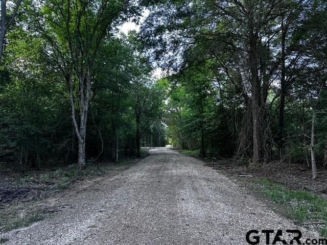 10.01 acres in Van Zandt County - photo 11
