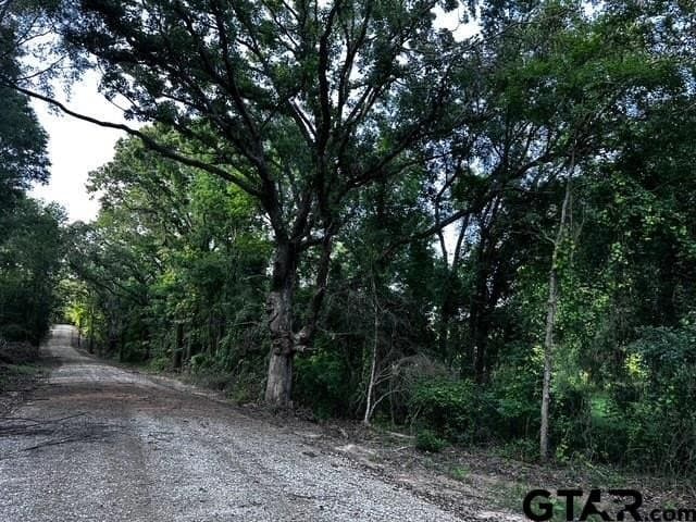 10.01 acres in Van Zandt County - photo 9