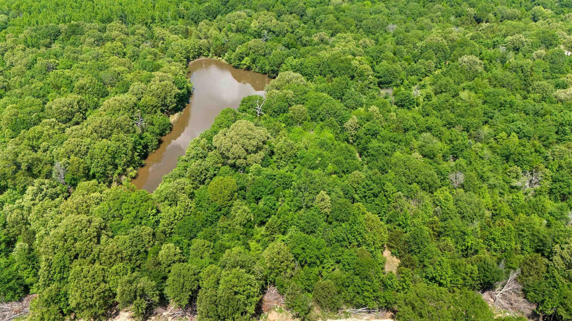 10.01 acres in Van Zandt County - photo 16