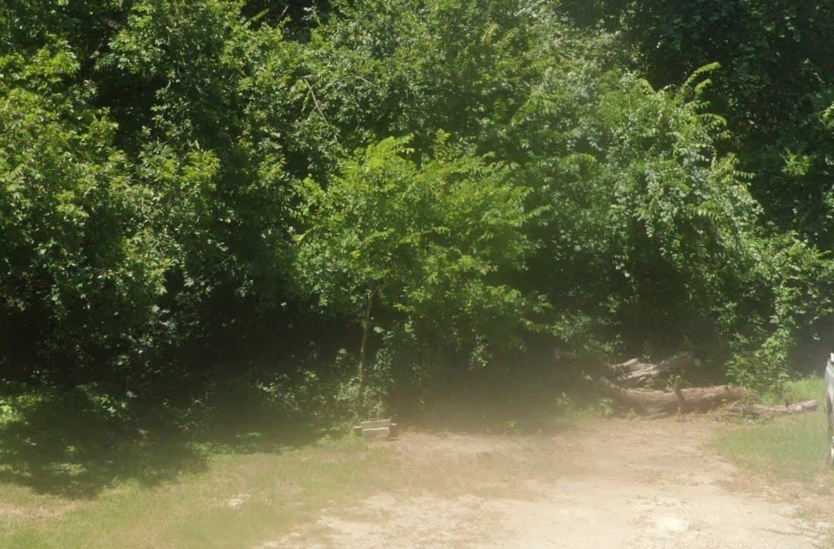 0.52 acres in Bastrop County - photo 2