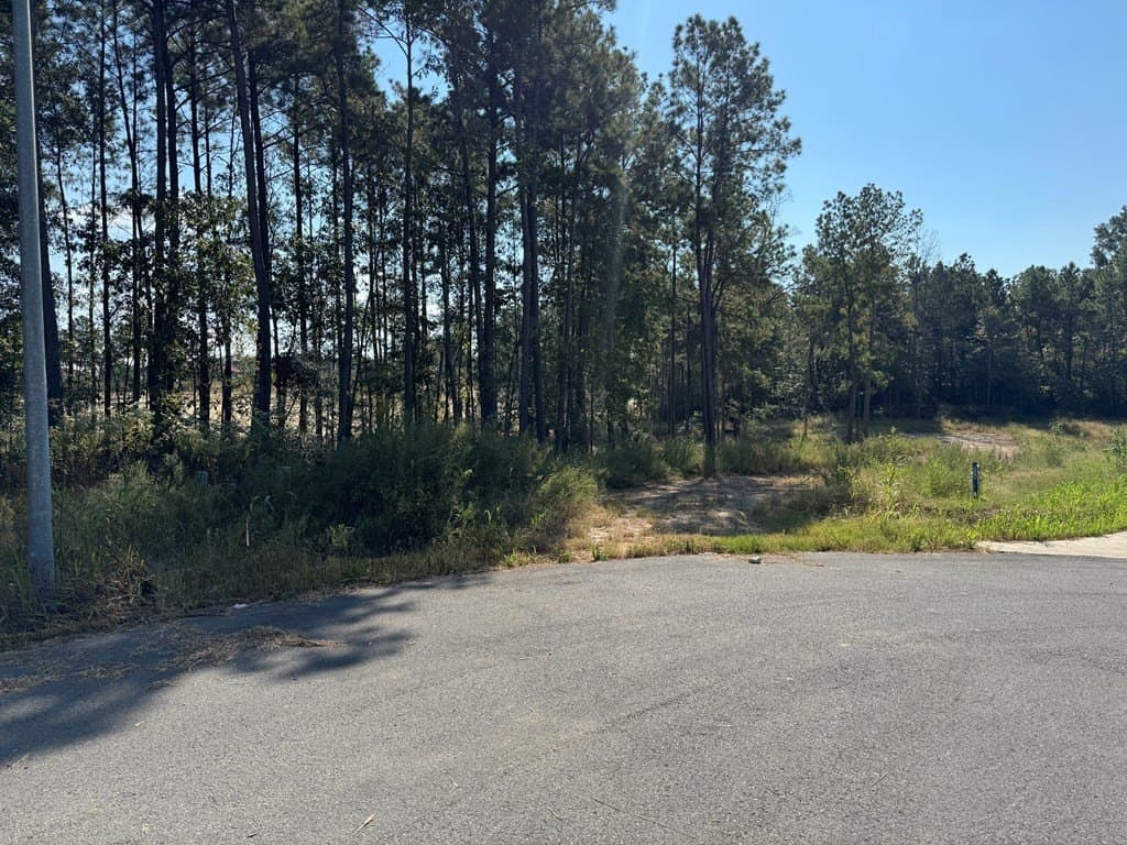 1.4 acres in Texas County - photo 3