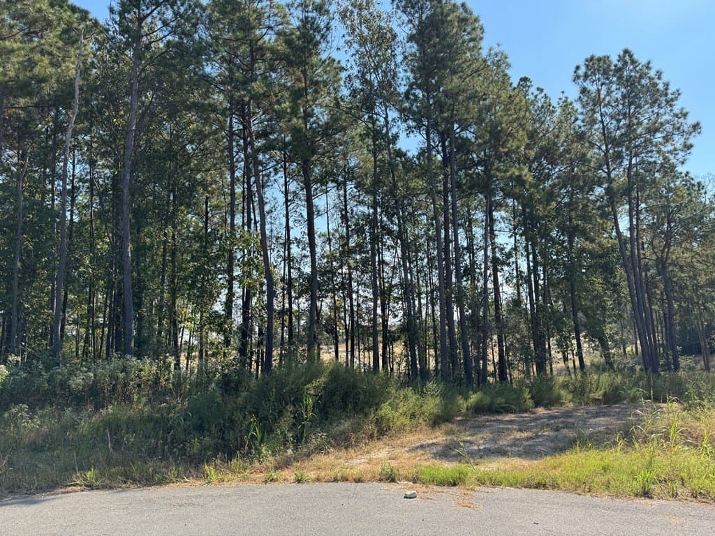 1.4 acres in Texas County - photo 7