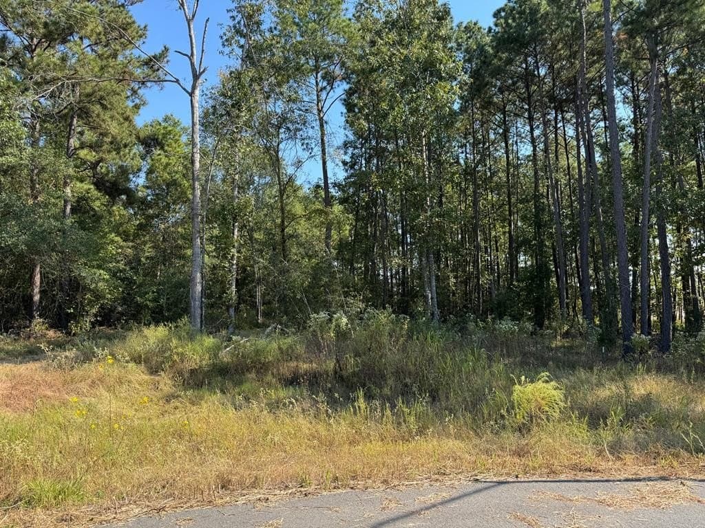 1.4 acres in Texas County