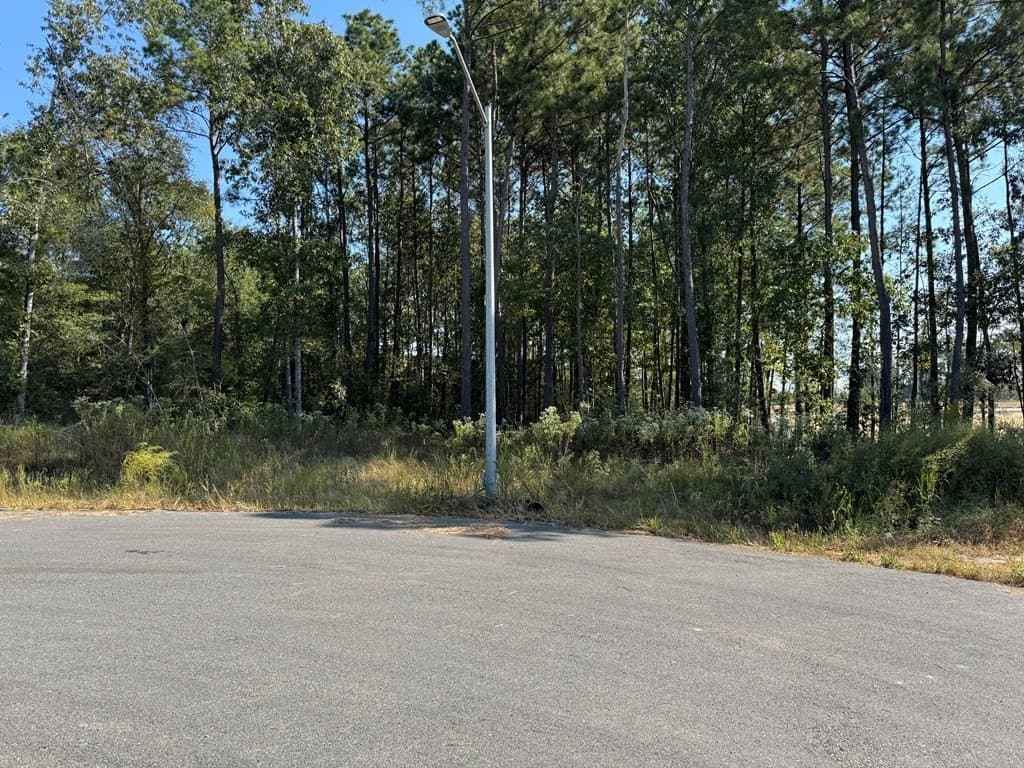1.4 acres in Texas County - photo 5