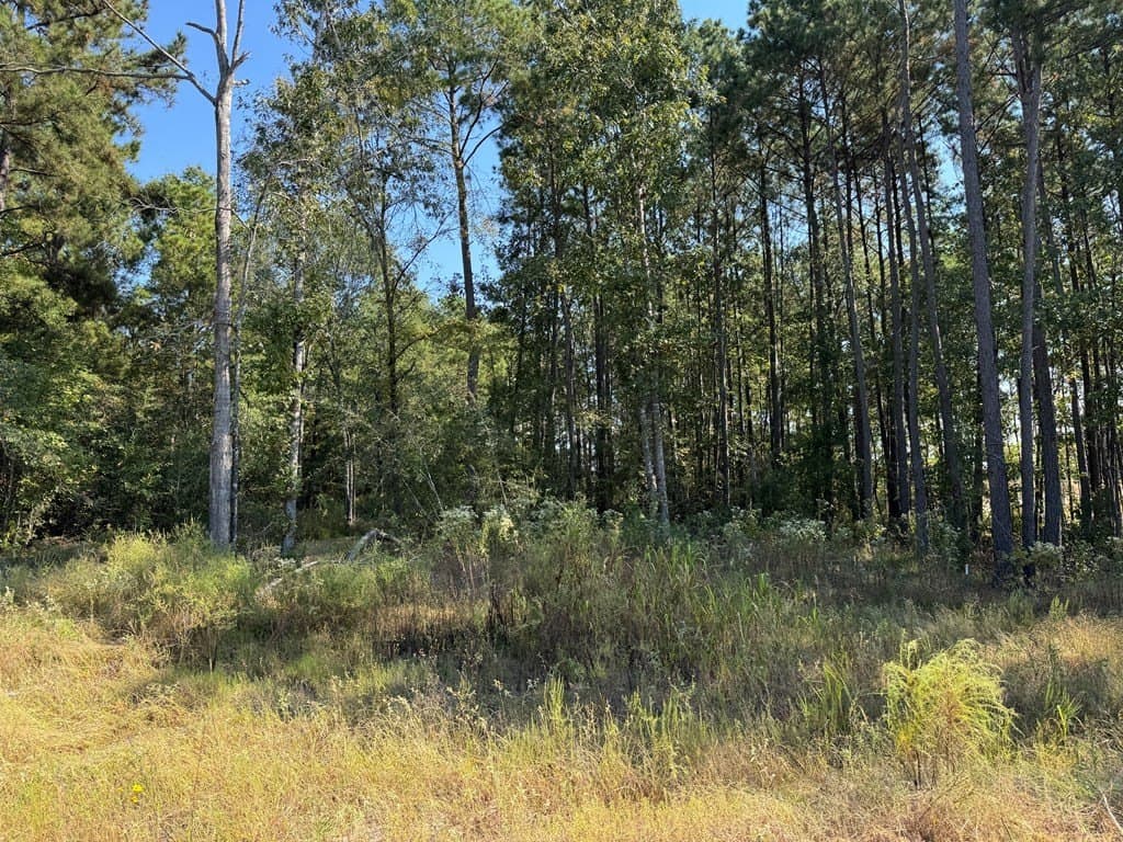 1.4 acres in Texas County - photo 8
