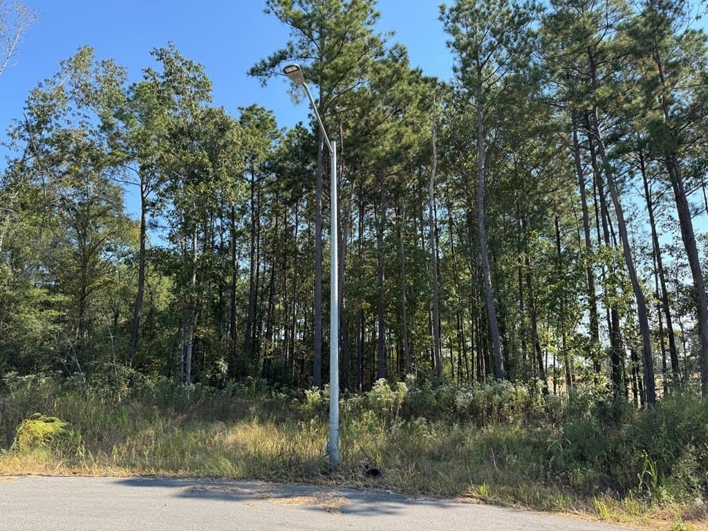 1.4 acres in Texas County - photo 6