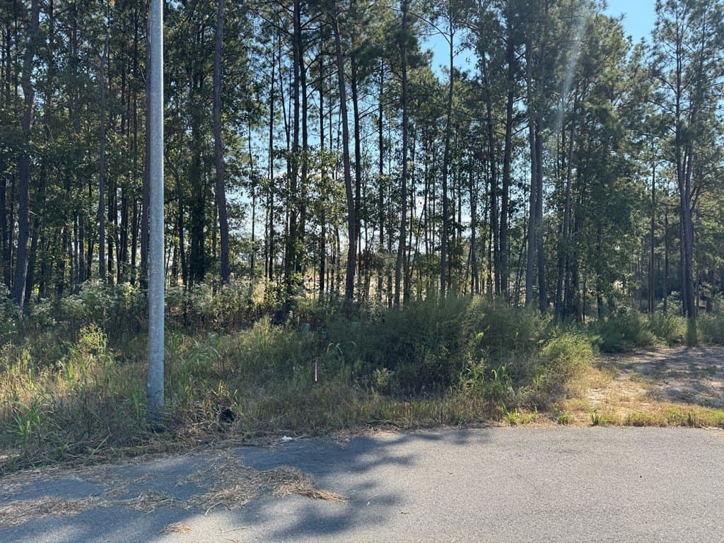 1.4 acres in Texas County - photo 4