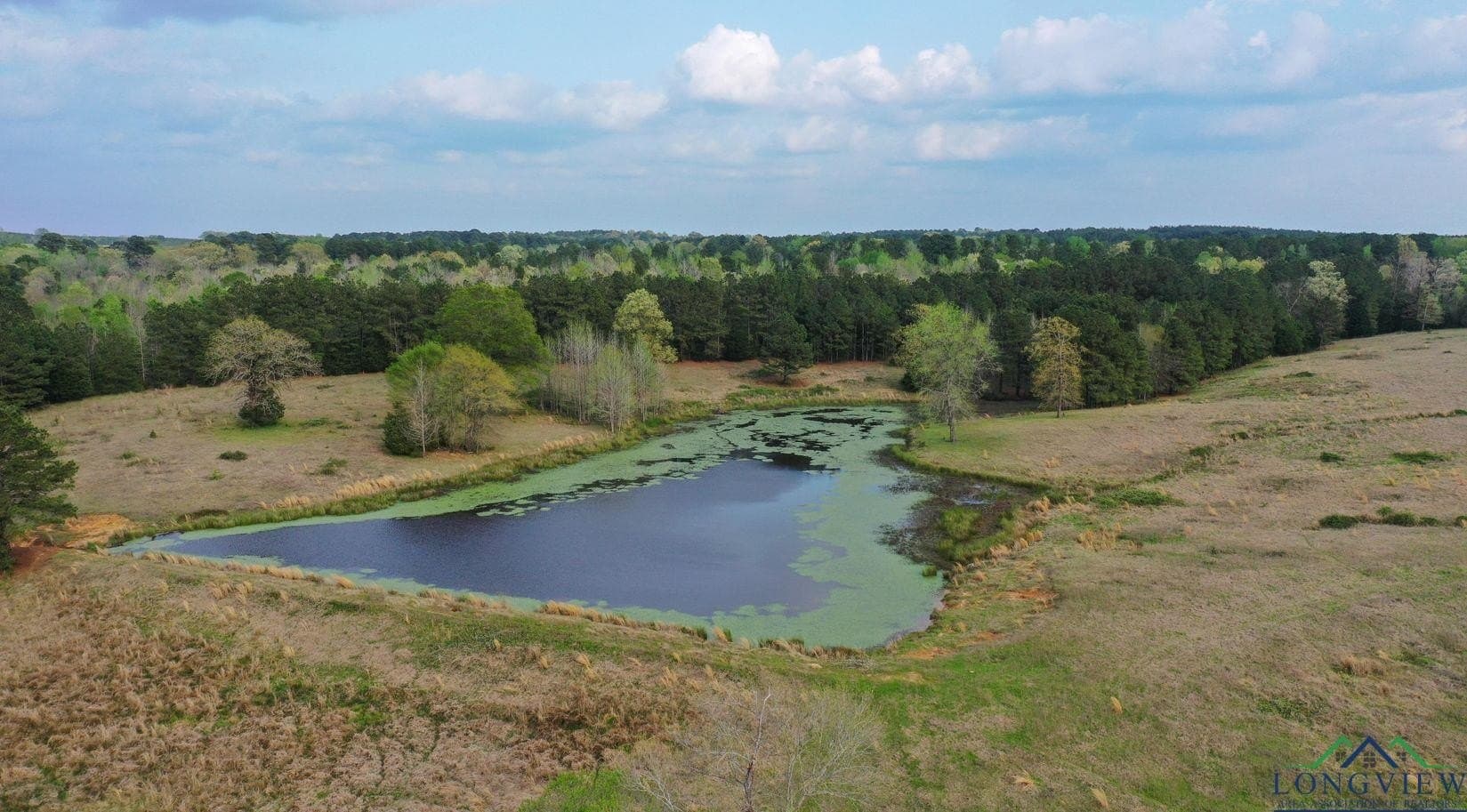 180.5 acres in Cass County gallery image 2