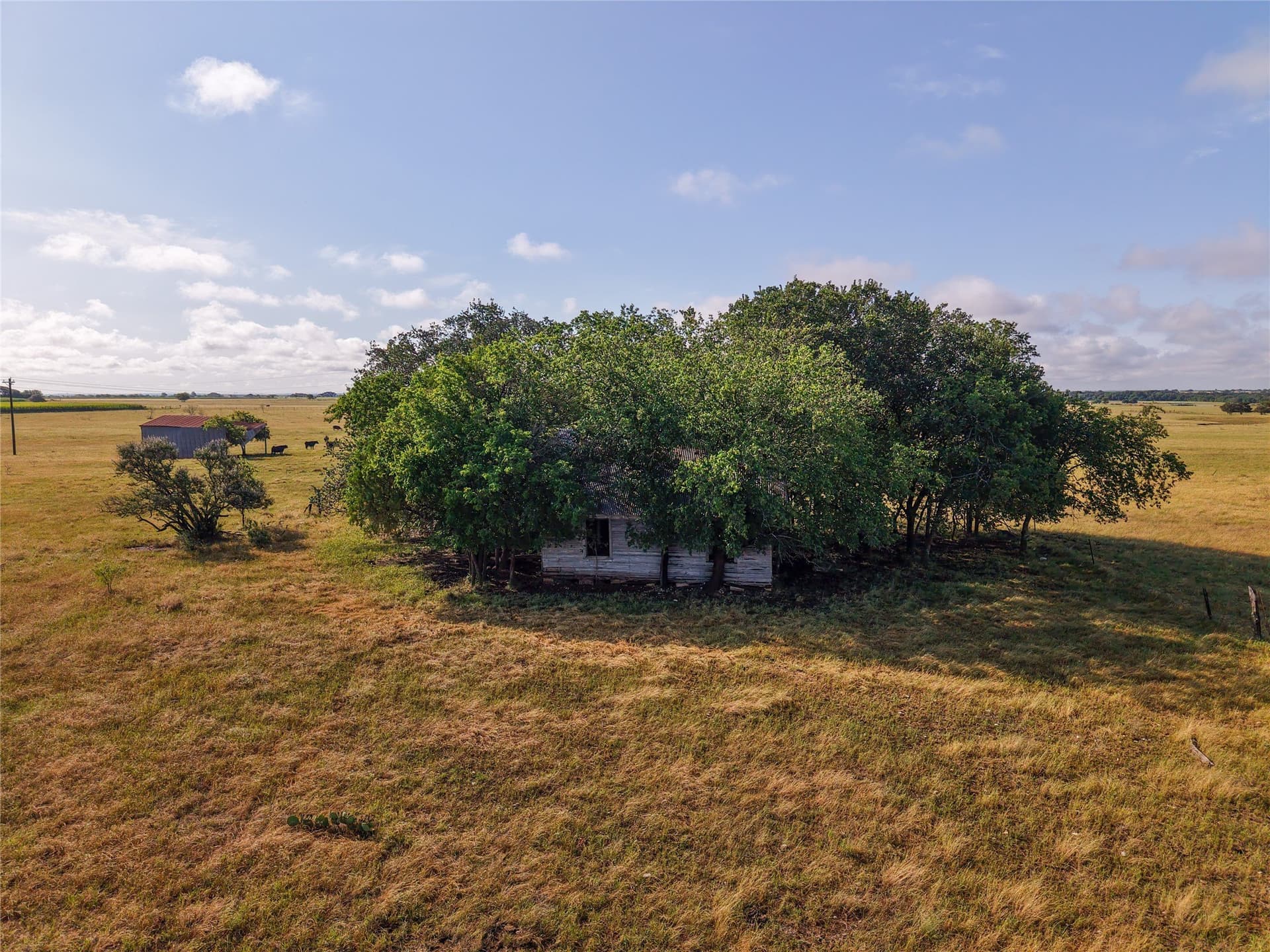 145.26 acres in McLennan County - photo 8