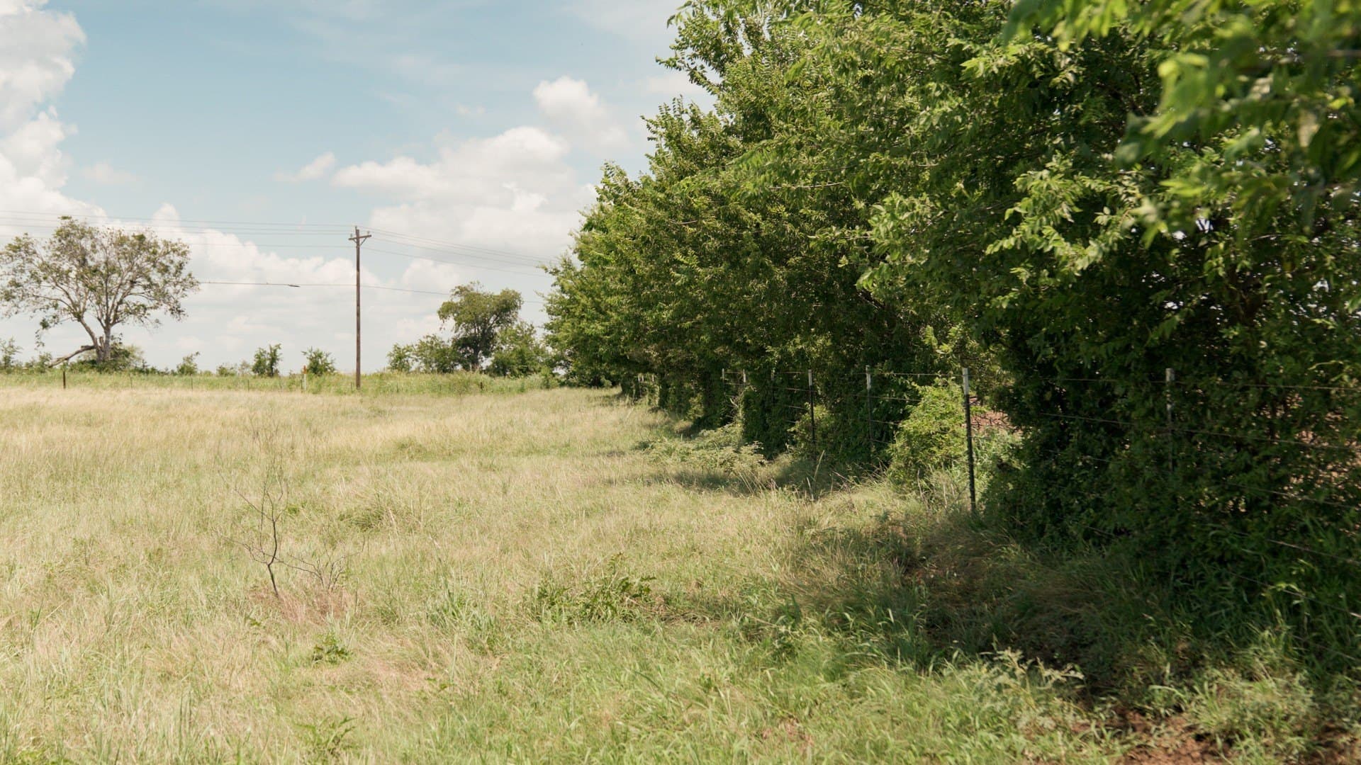 145.26 acres in McLennan County - photo 11