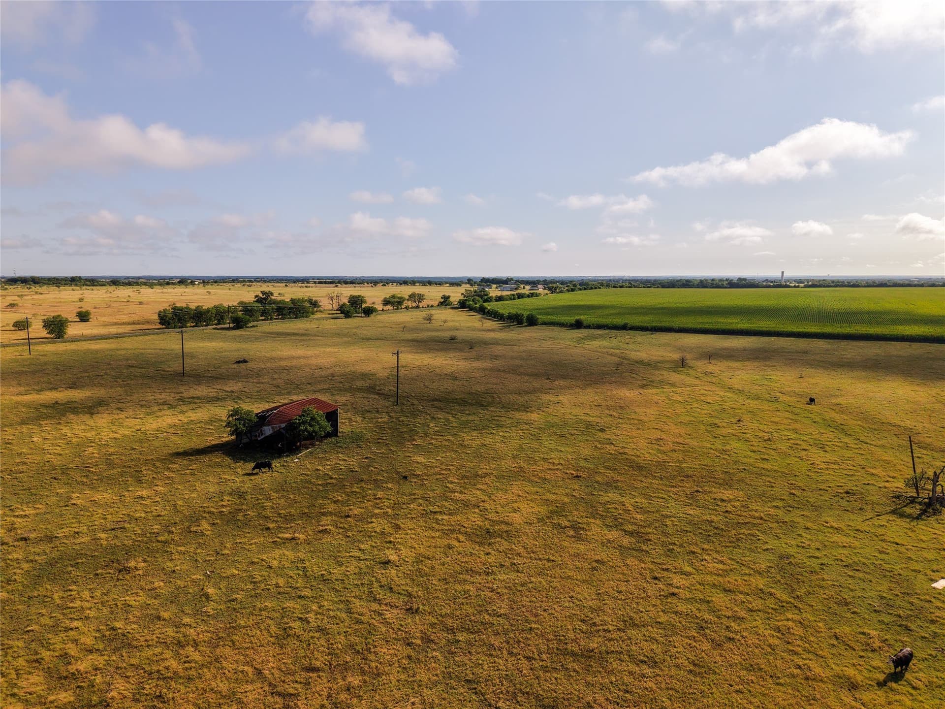 145.26 acres in McLennan County - photo 23