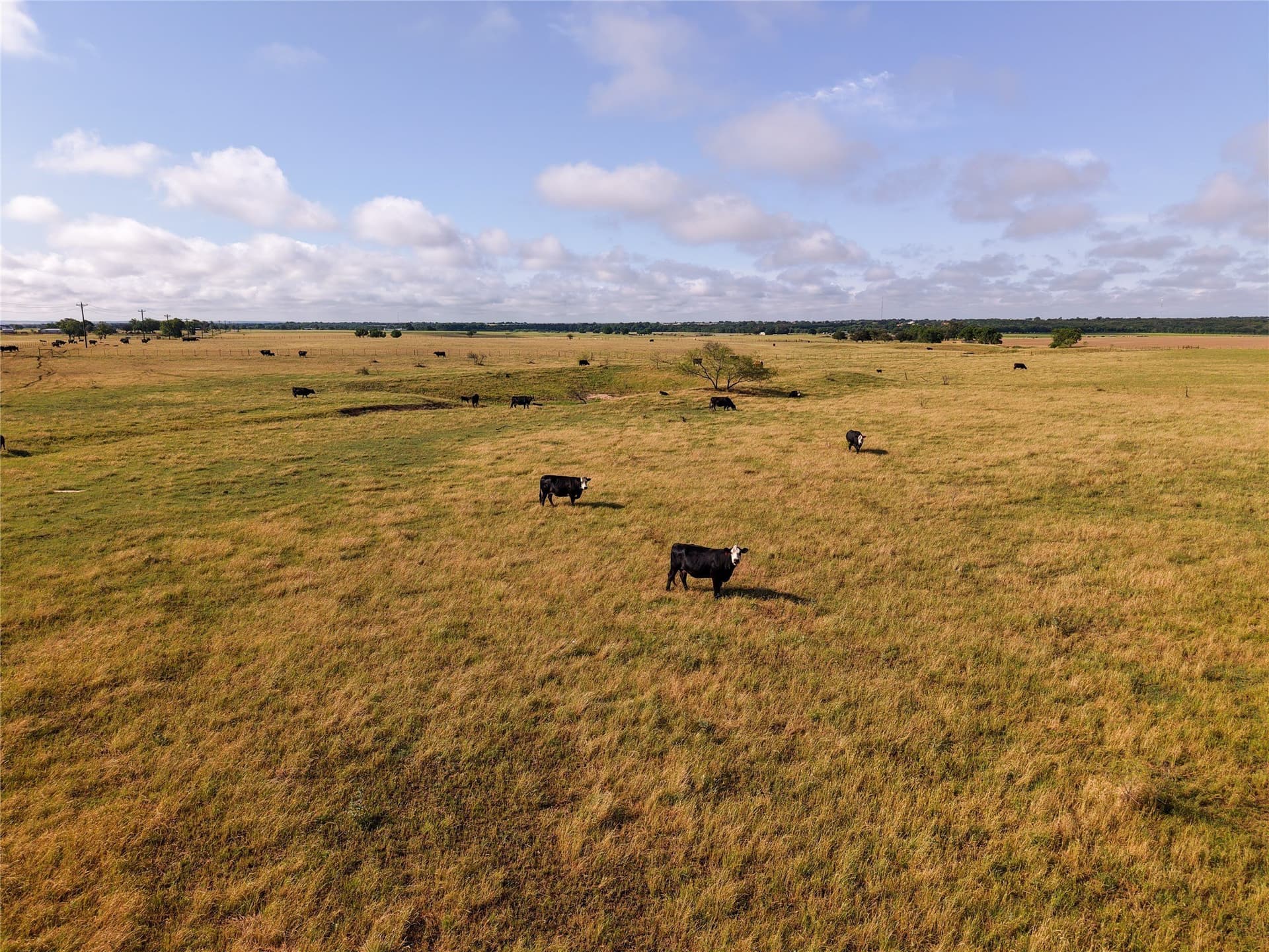 145.26 acres in McLennan County featured view