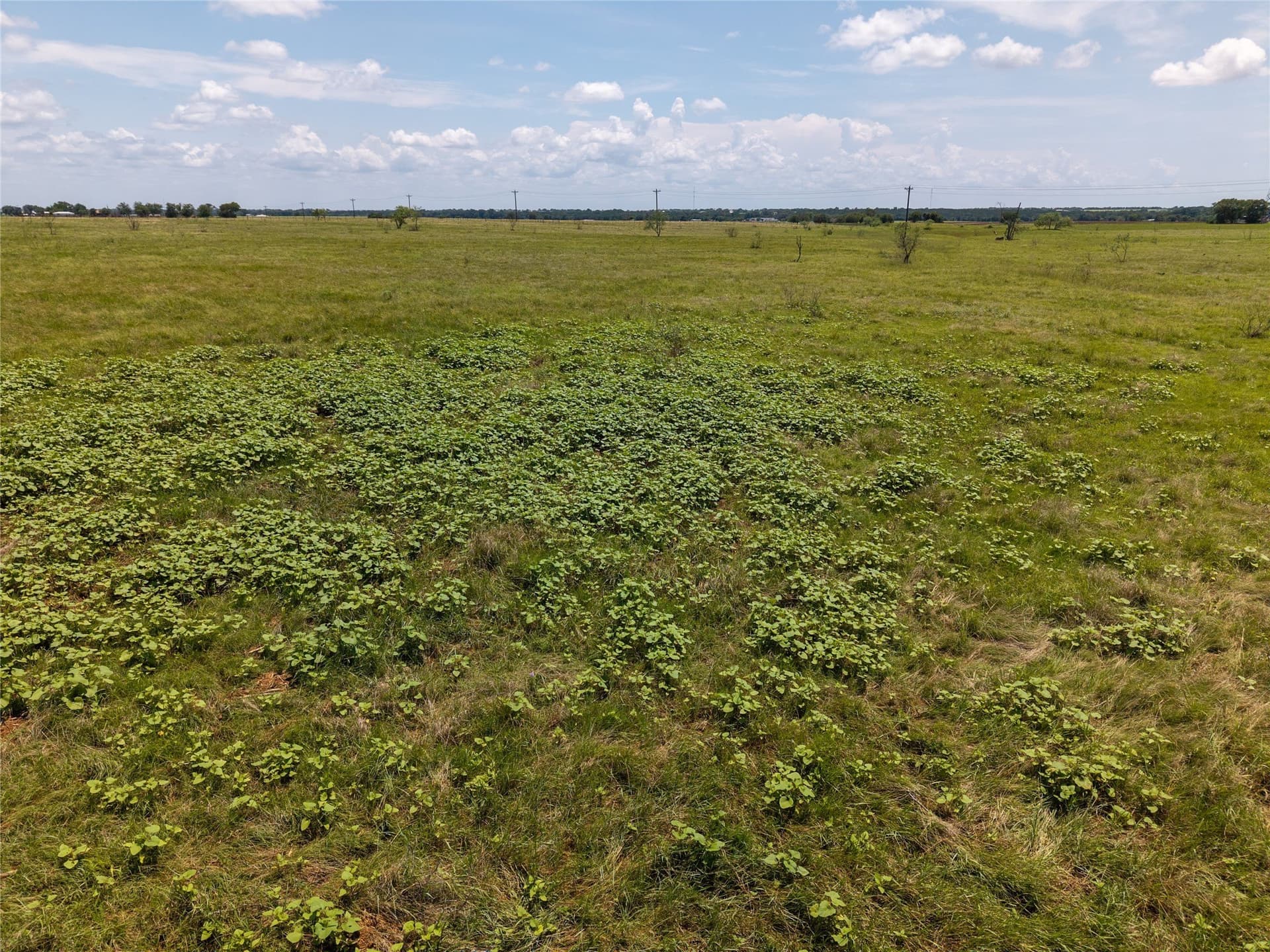 145.26 acres in McLennan County - photo 15