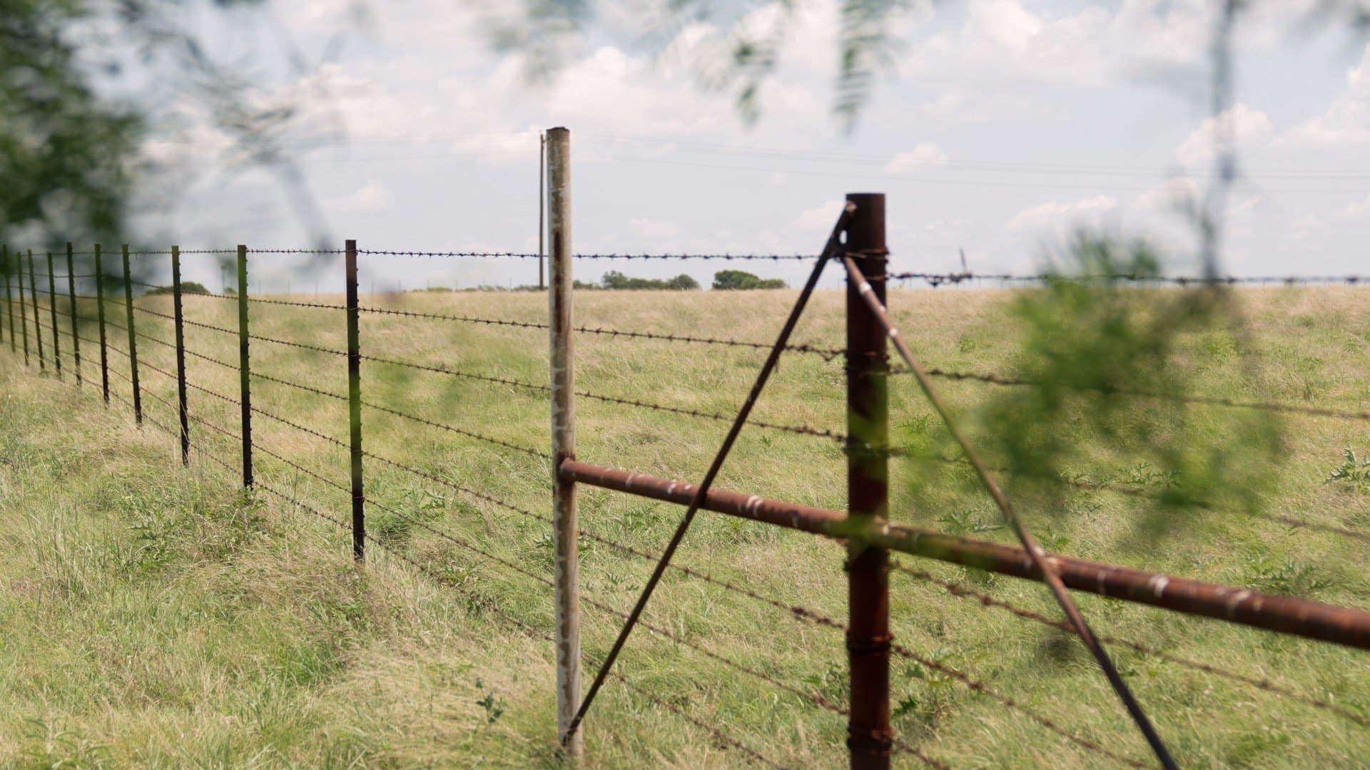145.26 acres in McLennan County - photo 13