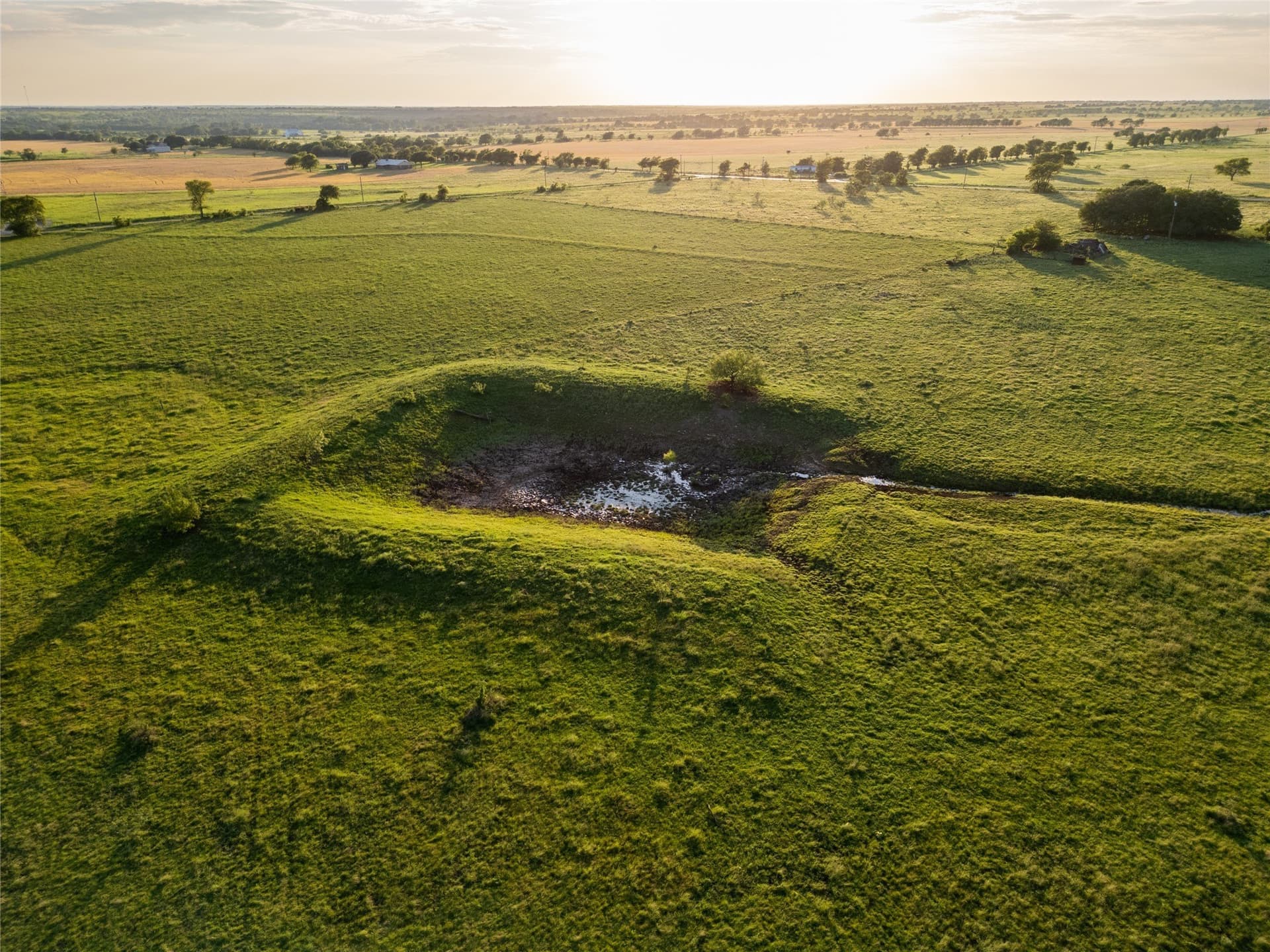 145.26 acres in McLennan County gallery image 3