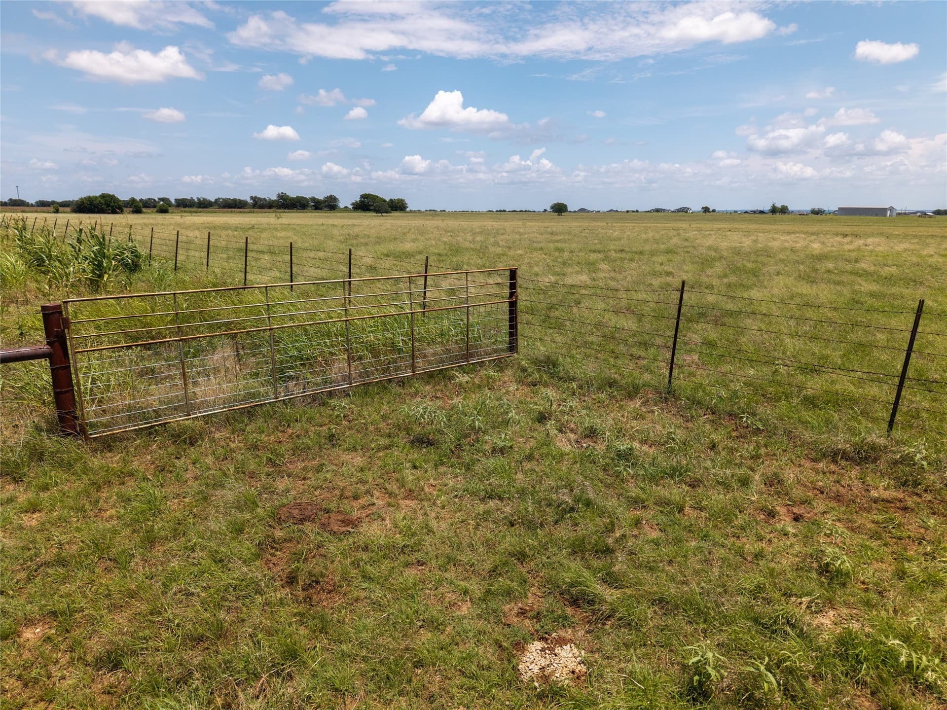 145.26 acres in McLennan County - photo 14