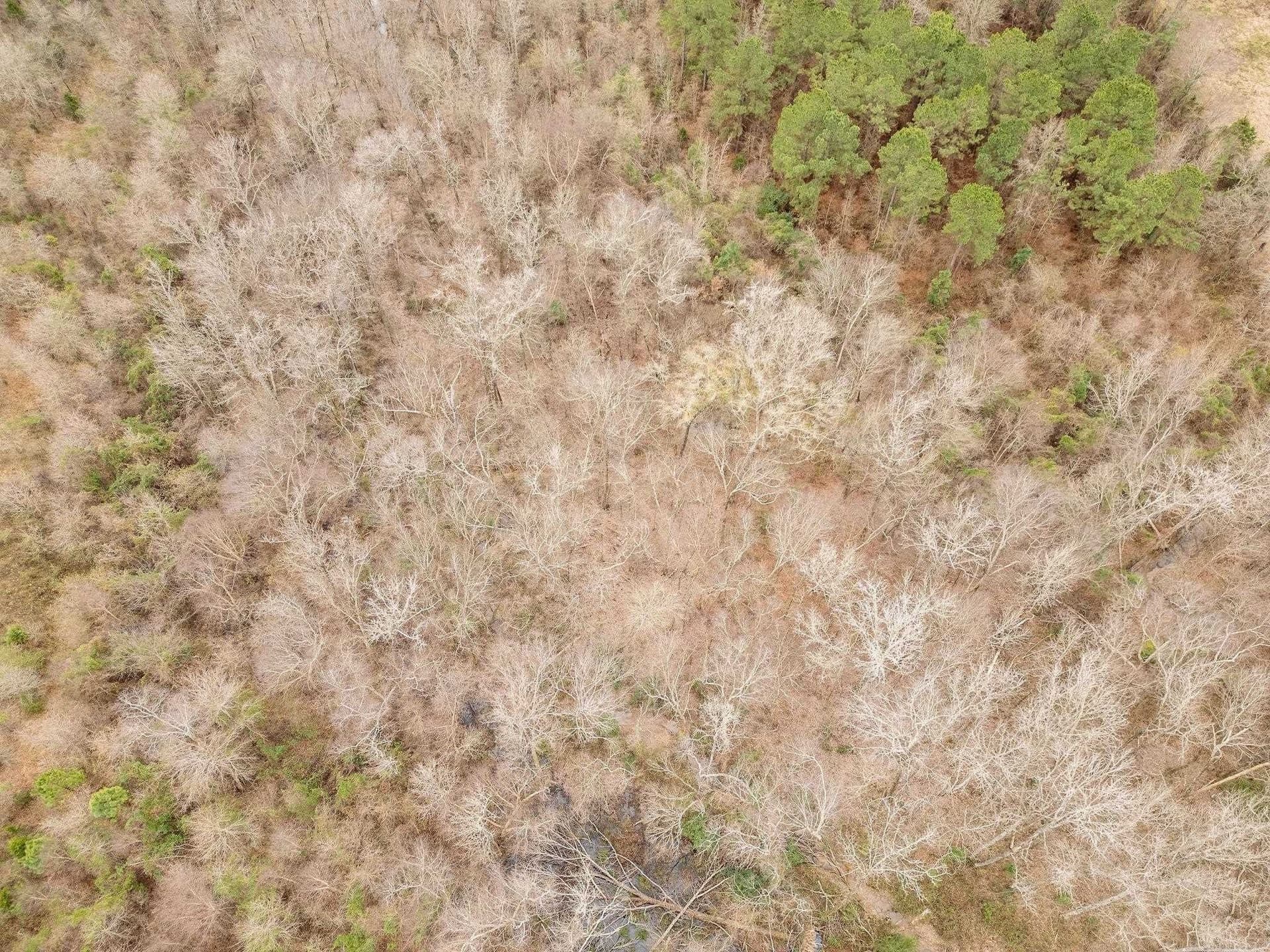 20 acres in Texas County - photo 6