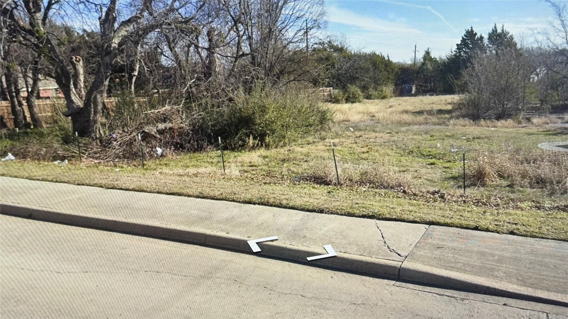 3.51 acres in Dallas County - photo 2