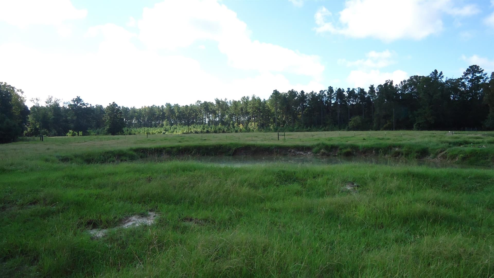 18 acres in Texas County - photo 7